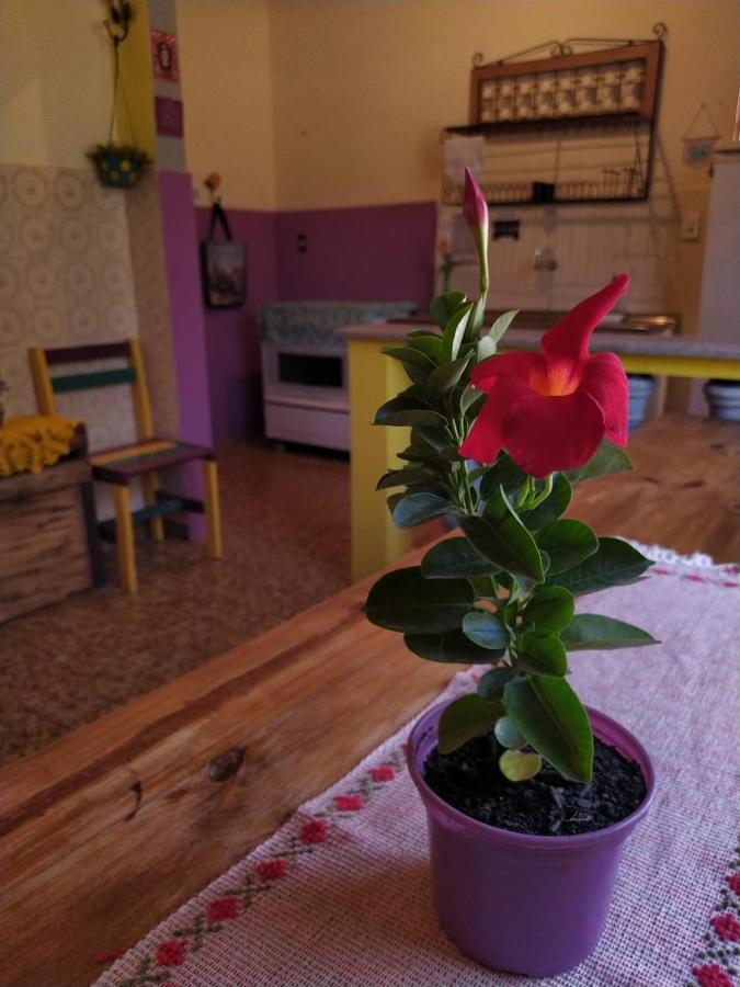 Hostel Tiradentes Dış mekan fotoğraf