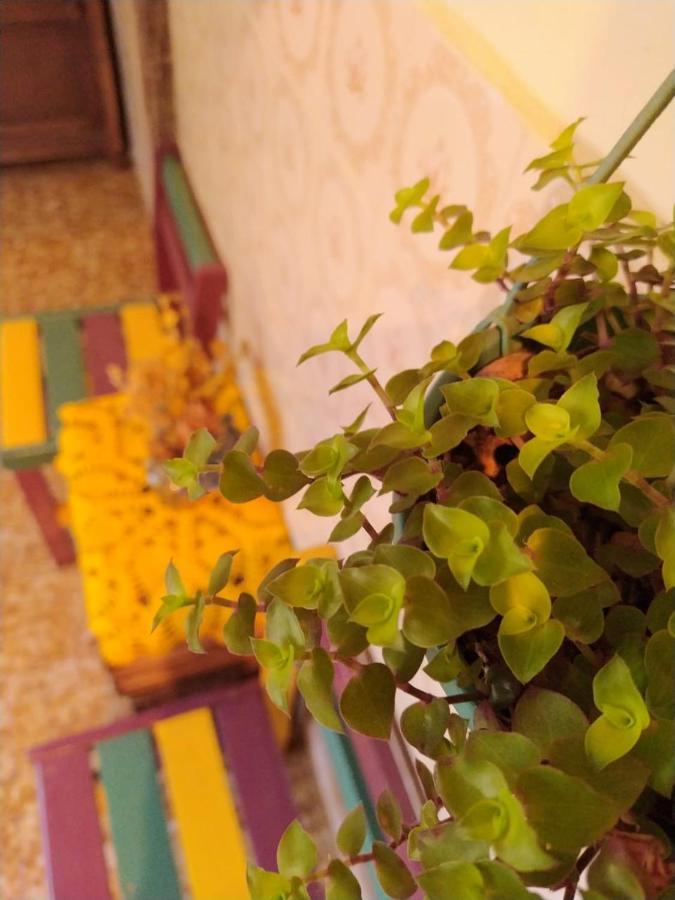 Hostel Tiradentes Dış mekan fotoğraf